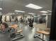 Fitness center with weight machines, free weights, and exercise equipment at 517 Chiswick Cir, Highlands Ranch, CO 80126