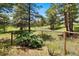 Fenced backyard featuring green lawns, mature trees and a park-like setting at 2851 Interlocken Dr, Evergreen, CO 80439