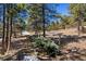 Lush yard surrounded by a wooden fence and mature trees, providing privacy and natural beauty at 2851 Interlocken Dr, Evergreen, CO 80439