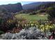 Picturesque golf course view framed by vibrant flowers and lush landscaping in a serene setting at 4502 Echo Cliff Ln, Larkspur, CO 80118