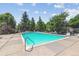 Large community swimming pool on sunny day, lined with lounge chairs and mature trees at 12059 E Hoye Dr, Aurora, CO 80012