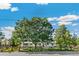 Charming home featuring a lush front yard, mature trees, and a rustic wooden fence, creating a welcoming atmosphere at 2981 Teller St, Wheat Ridge, CO 80033