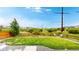 Back yard view showing a wooden fence and a grassy area at 4585 High Mesa Cir, Castle Rock, CO 80108