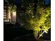 Beautifully landscaped front yard with lighting and trees at 6610 Barnstead Dr, Castle Pines, CO 80108