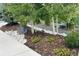A variety of young trees, stone beds, ground cover, and fresh mulch next to a sidewalk at 6610 Barnstead Dr, Castle Pines, CO 80108