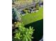 High-angle view of the meticulous landscaping featuring a green lawn, trees, and decorative rock at 6610 Barnstead Dr, Castle Pines, CO 80108
