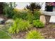 A flower bed brimming with diverse plants and mulch beside a modern home at 6610 Barnstead Dr, Castle Pines, CO 80108