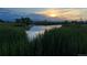 Pond water reflects the setting sun, cattails line shore, mountains are in the background at 3308 W 11Th Avenue Pl, Broomfield, CO 80020