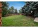 Large, grassy backyard enclosed by a wooden fence and mature trees at 11805 W 74Th Ave, Arvada, CO 80005