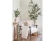 Stylish chair with decorative pillows and a cozy throw blanket, complemented by indoor plants at 2340 Jamaica St, Aurora, CO 80010