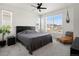 Bedroom has large windows with blinds, a ceiling fan, and grey bedding at 24333 E 41St Ave, Aurora, CO 80019