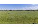 Panoramic view of a grassy community common area with neighborhood houses in the background under a sunny sky at 1678 Wright Aly, Erie, CO 80516