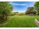 Expansive backyard features a lush lawn, mature trees, and rustic wood fence for a private outdoor space at 920 Shady Oak Ln, Castle Pines, CO 80108