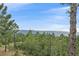 Scenic mountain view with trees and clear blue sky, showcasing the natural beauty of the property at 8045 Eagle Rd, Larkspur, CO 80118