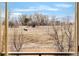 Picturesque window view of horses grazing in a field, showcasing the property's natural beauty at 4547 Tally Ho Trl, Boulder, CO 80301