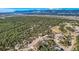 Breathtaking aerial view of the neighborhood surrounded by lush green forests and majestic mountains at 1798 Summerglow Ln, Monument, CO 80132