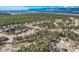 Panoramic aerial view of a residential neighborhood nestled among dense trees, with mountain views in the distance at 1798 Summerglow Ln, Monument, CO 80132