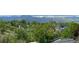 Panoramic mountain view from the property overlooking lush trees and neighborhood at 3880 W 13Th Ave, Denver, CO 80204
