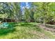 Lush backyard with mature trees, green grass, and outdoor seating, creating a serene and private outdoor space at 879 S Cole Dr, Lakewood, CO 80228