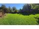 Spacious backyard showcasing a well-maintained lawn and mature trees, perfect for outdoor activities at 4074 S Poplar Way, Denver, CO 80237
