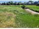 Lush, green landscape in a park-like setting at 15507 E Louisiana Ave, Aurora, CO 80017