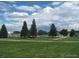 Scenic view of a lush green park with trees and a bright blue sky with puffy white clouds at 32 Powder Horn Pl, Longmont, CO 80504