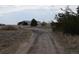 View of an outbuilding surrounded by trees and dirt road. Plenty of outdoor space at 74500 E 136Th Ave, Byers, CO 80103