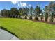 Wide angle of the backyard showing green lawn, privacy fence, and various trees at 15919 Xanthia Way, Thornton, CO 80602