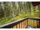 View from deck shows the trees and natural backyard at 25808 Sunrise Ln, Golden, CO 80401