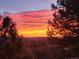 Beautiful sunset view framed by silhouetted trees at 25808 Sunrise Ln, Golden, CO 80401