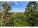 Wonderful distant view of a city through the trees on a hill at 25808 Sunrise Ln, Golden, CO 80401
