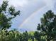 Beautiful view of a rainbow over the mountains and a distant valley with trees at 25808 Sunrise Ln, Golden, CO 80401