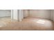 Finished basement with new carpeting and wood flooring at 1076 Switch Grass Dr, Castle Rock, CO 80109