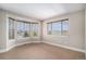 Large bedroom featuring neutral carpet, base trim, and several large windows at 1076 Switch Grass Dr, Castle Rock, CO 80109