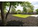 Large backyard with fresh mulch, mature trees, and a wood fence at 10792 Moore St, Broomfield, CO 80021