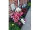 Vibrant landscaping with colorful lilies planted along the brick wall and sidewalk at 18605 E Saratoga Pl, Aurora, CO 80015