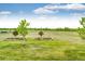 Lush, green lawn with young trees in planting beds and a view of the countryside creates a serene backdrop at 196 W 8Th Ave, Byers, CO 80103