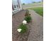 Landscaped front yard with colorful peonies lining a gravel walkway leading to the house at 196 W 8Th Ave, Byers, CO 80103