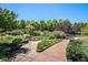 A scenic garden with stone pathways, benches, and variety of flowers and plants at 1044 Rockhurst Dr # 207, Highlands Ranch, CO 80129