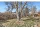 Backyard features a mature shade tree at 755 Newark St, Aurora, CO 80010