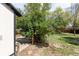 Landscaped backyard featuring lush green grass, a mature tree and partial patio at 11524 Marshall Ct, Broomfield, CO 80020