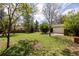 Wide open fenced backyard with mature trees and green grass at 11524 Marshall Ct, Broomfield, CO 80020
