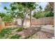 Fenced backyard with an outbuilding, mature trees, gravel, and concrete steps at 4720 S Bannock St, Englewood, CO 80110