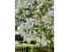 Close-up of vibrant white flowers blooming near this home at 2538 Central Park Blvd, Denver, CO 80238