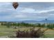 Scenic view with hot air balloons soaring over trees, houses, and mountain landscapes at 5118 Bottlebrush Run, Broomfield, CO 80023