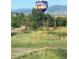 Scenic aerial view featuring a Colorado-themed hot air balloon in a picturesque mountain landscape at 5118 Bottlebrush Run, Broomfield, CO 80023