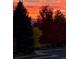 Sunset view of the neighborhood through trees and shrubs at 5118 Bottlebrush Run, Broomfield, CO 80023