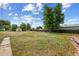 Large backyard with grass, trees, and a wooden fence, offering plenty of space at 7550 Raleigh St, Westminster, CO 80030