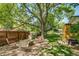 Tranquil backyard featuring a patio set shaded by a large tree, and a well-maintained lawn at 3010 Zinnia Ct, Golden, CO 80401