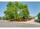 Charming home with mature trees and a beautiful fence, enhancing curb appeal and privacy at 3010 Zinnia Ct, Golden, CO 80401